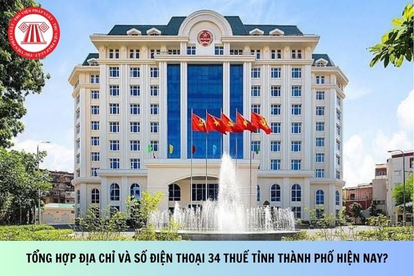 Pháp luật