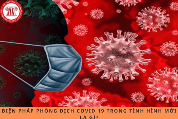 Pháp luật