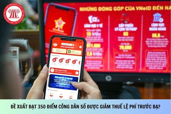 Pháp luật