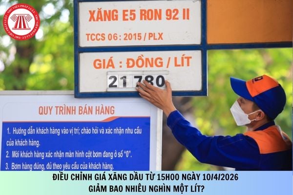 Pháp luật