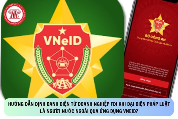 Pháp luật