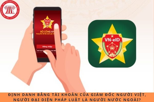 Pháp luật