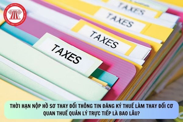 Pháp luật