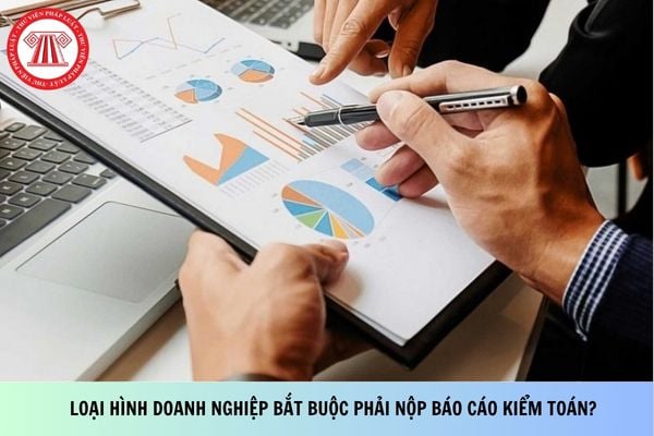 Loại hình doanh nghiệp bắt buộc phải nộp báo cáo kiểm toán?