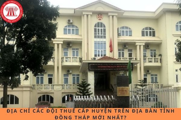 Pháp luật
