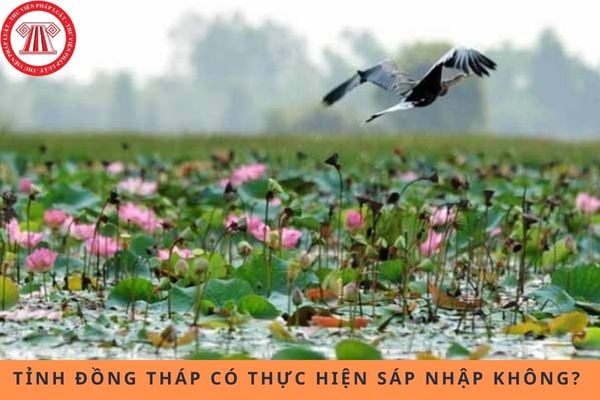 Tỉnh Đồng Tháp có thực hiện sáp nhập không? Sáp nhập với tỉnh nào?
