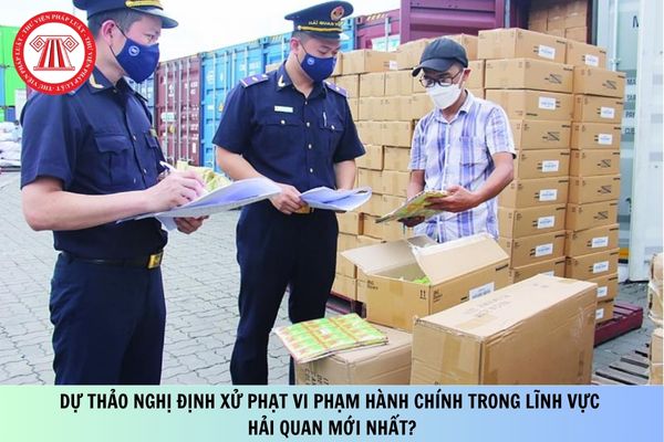 Pháp luật