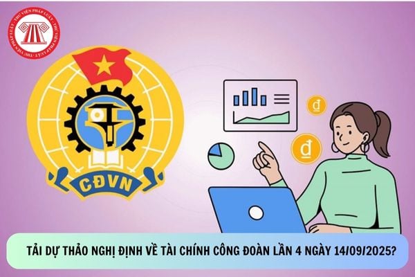 Pháp luật