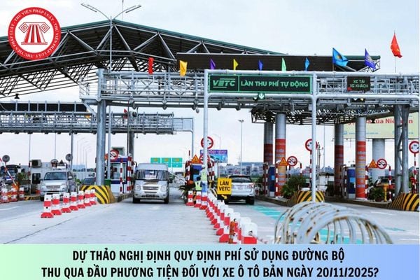 Pháp luật