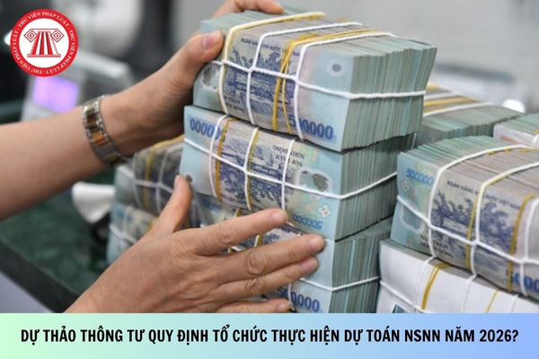 Pháp luật