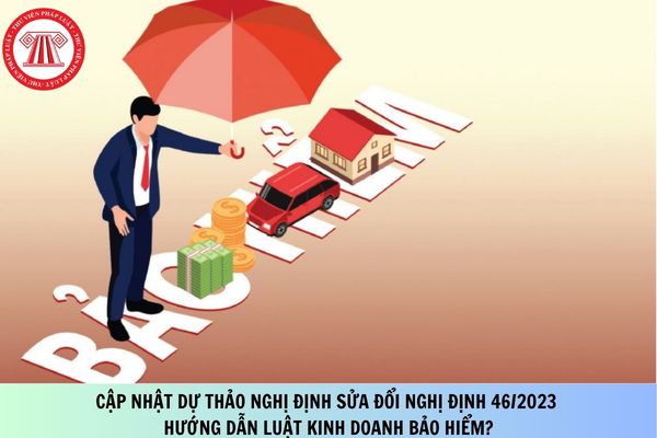 Pháp luật