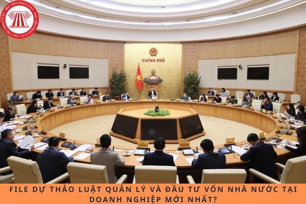 Pháp luật
