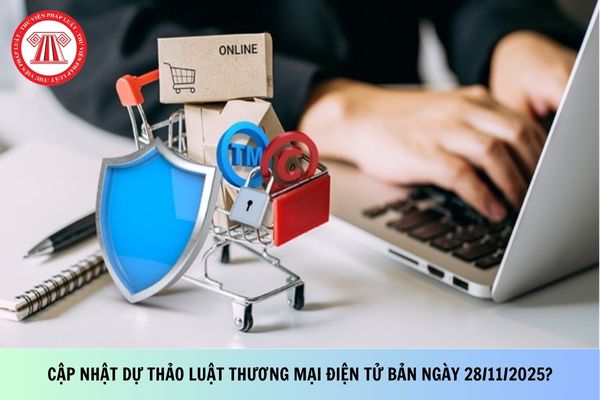 Pháp luật