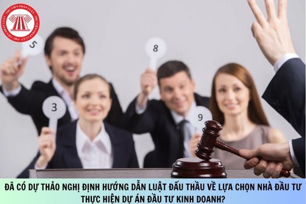 Pháp luật