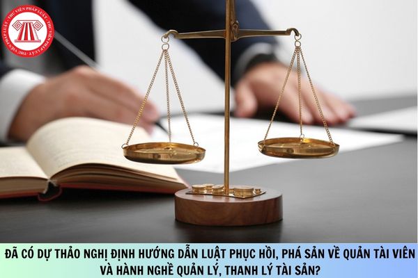 Pháp luật