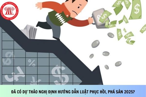 Pháp luật