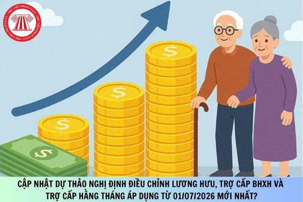 Pháp luật