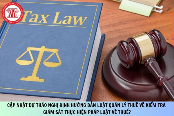 Pháp luật
