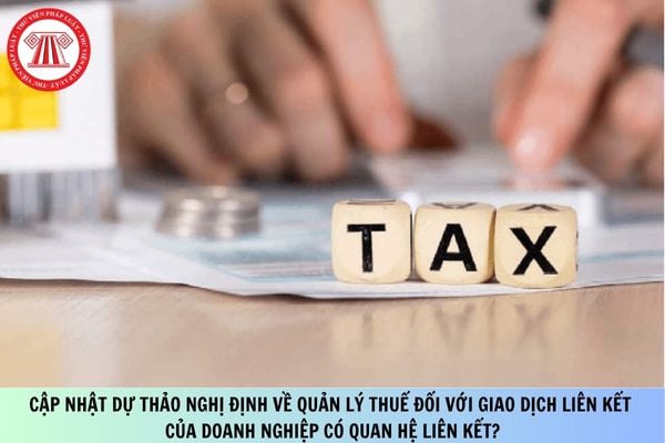 Pháp luật
