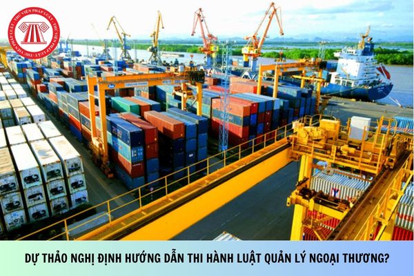 Pháp luật