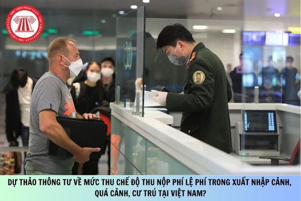 Pháp luật