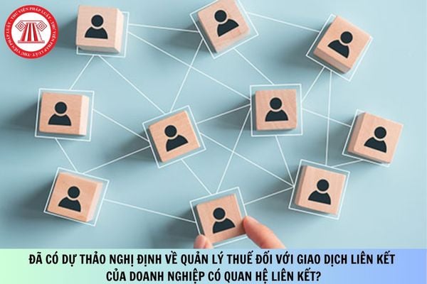 Pháp luật