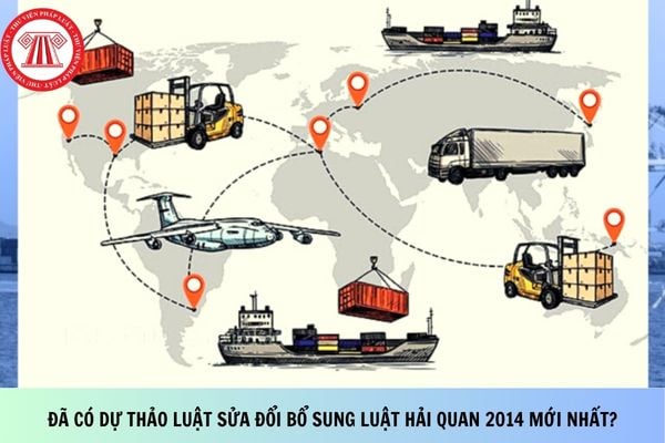 Pháp luật