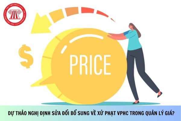 Pháp luật