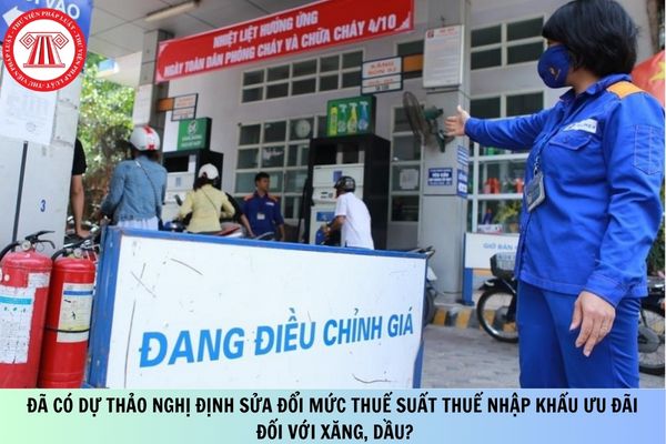 Pháp luật