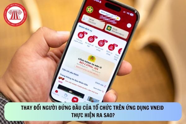 Pháp luật