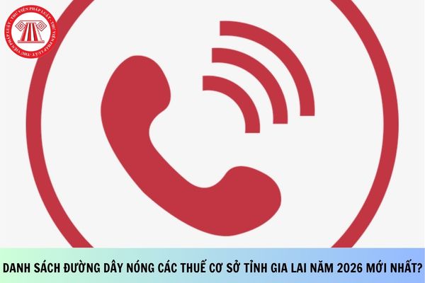 Pháp luật