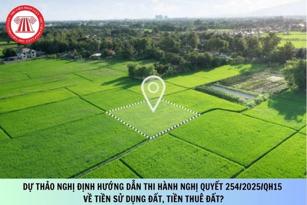 Pháp luật