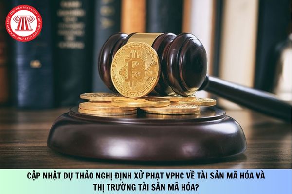 Pháp luật