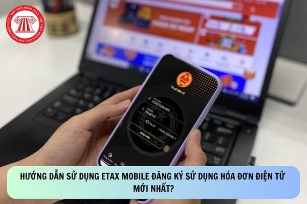 Pháp luật