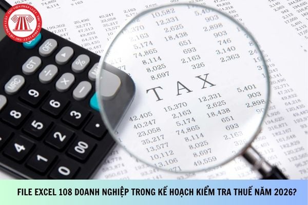 File Excel 108 doanh nghiệp trong kế hoạch kiểm tra thuế năm 2026?