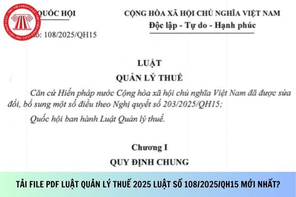 Pháp luật