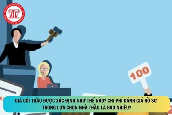 Pháp luật