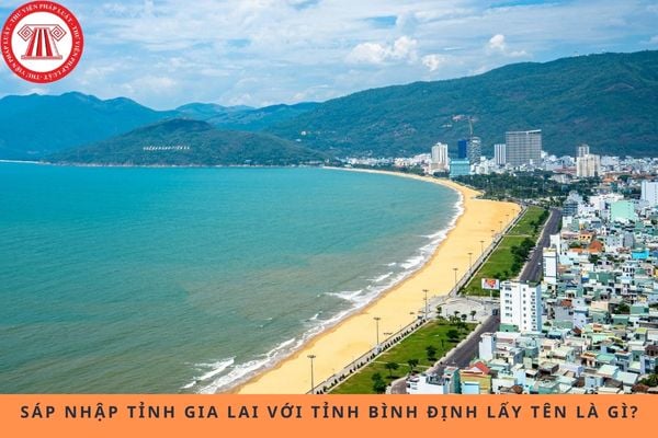 Pháp luật