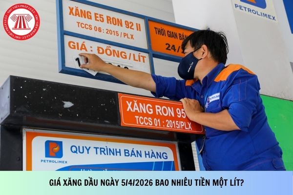 Pháp luật