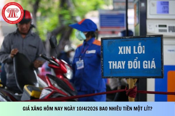 Pháp luật