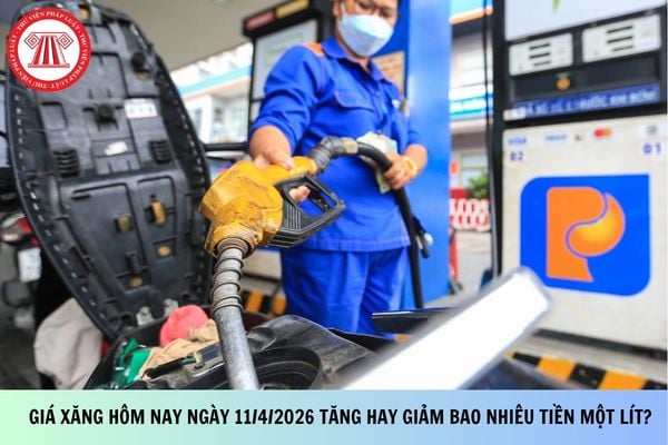 Pháp luật