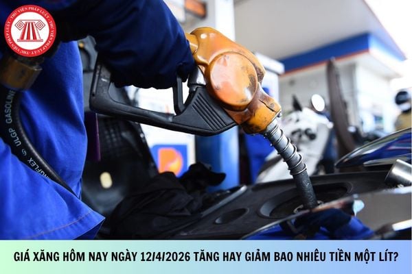 Pháp luật