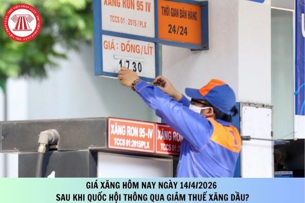 Pháp luật
