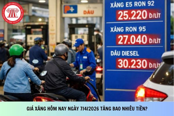 Pháp luật