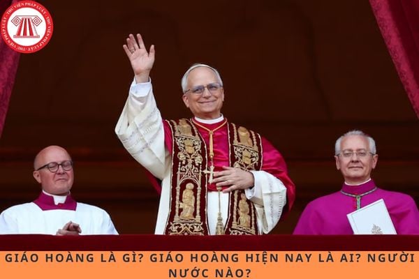 Pháp luật
