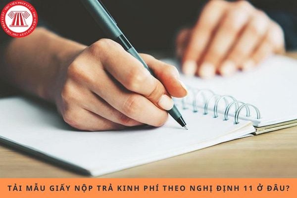 Pháp luật