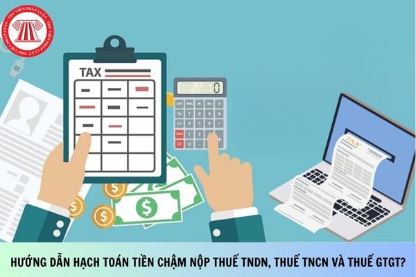 Pháp luật