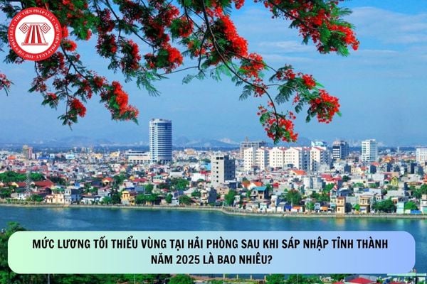 Pháp luật