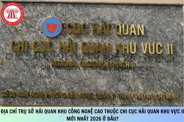 Pháp luật