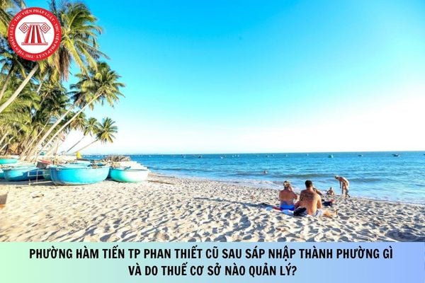 Pháp luật